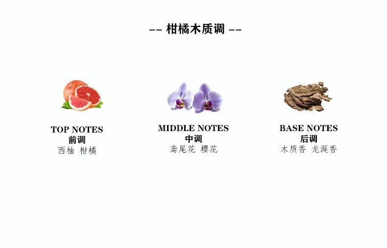 Parfum Décoratif d’Aromathérapie Voiture Volcano Iceberg