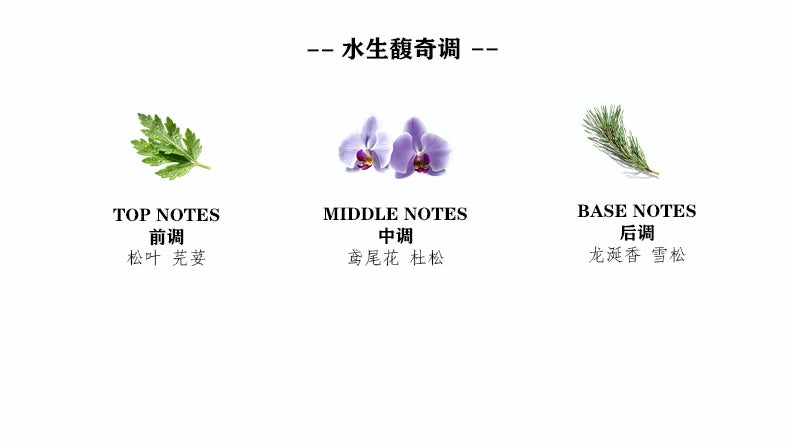 Parfum Décoratif d’Aromathérapie Voiture Volcano Iceberg